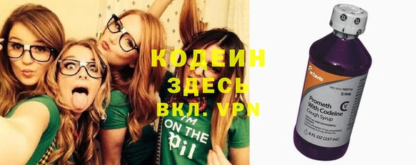 spice Ельня