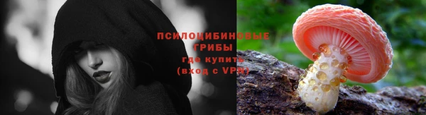 скорость Елизово