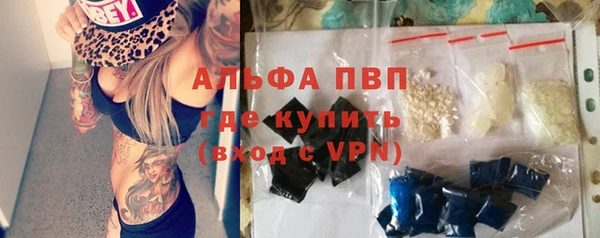 spice Ельня