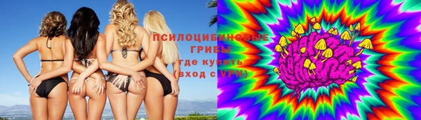 скорость Елизово